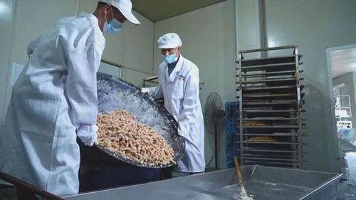 新春走基層 特色年貨生產(chǎn)加工忙