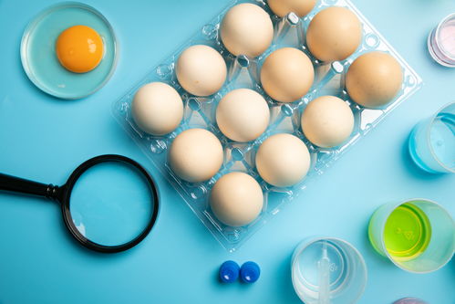 新鮮無(wú)菌蛋食品安全農(nóng)業(yè)科技食品培育攝影圖 插畫 下載至來(lái)源處