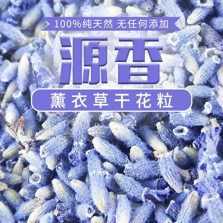 金昌特產 薰衣草干花粒 凈化空氣 清心助眠 大自然的氣息撲面而來 香氣持久 國內包郵圖片大全 郵樂官方網站